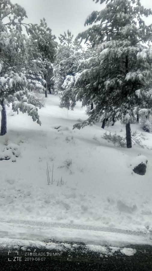 Hotel Casa Veleta Güéjar Sierra Zewnętrze zdjęcie
